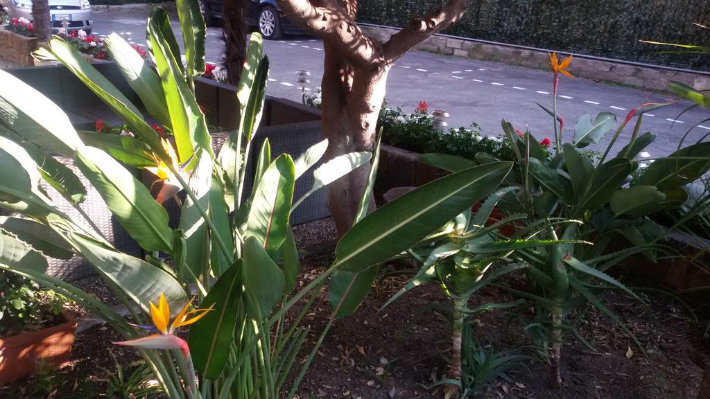 Hotel La Scogliera Bordighera Luaran gambar